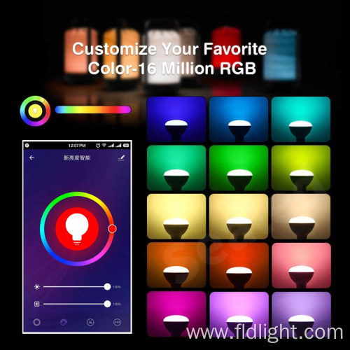 Indoor Smart Remote Control Multicolor Dimmable RGB